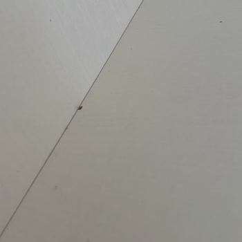 Doğtaş Defolu Yatak Odası