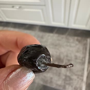 File Market Harras Zeytin Küflü Çıktı!