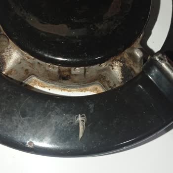 Lezita Sucuktan Tavuk Tüyü Çıktı