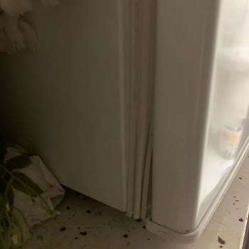 Dijitsu Lastiğini Değiştirmiyor Garanti Kapsamında Olmasına Rağmen