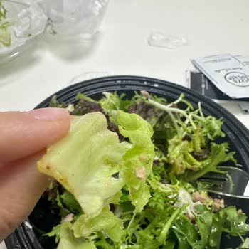 Pizza Locale Den Salata Aldım Böcek Çıktı