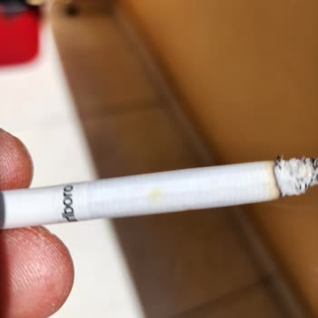 Philip Morris Küflenmiş Sarı Lekeli Ve İçinden Odun Çıkan Sigaralar