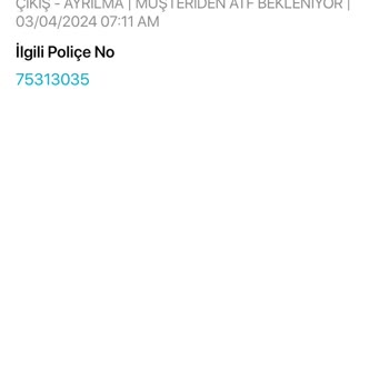 Türkiye Hayat Emeklilik BES Çıkamıyorum Mail Gelmiyor