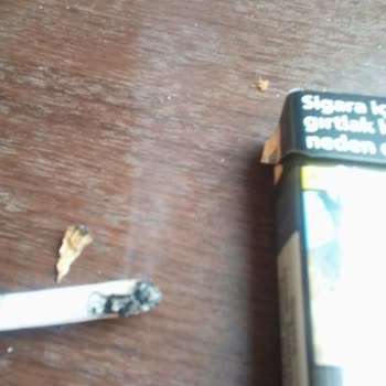 Philip Morris Sigara İçinde Bulunan Madde