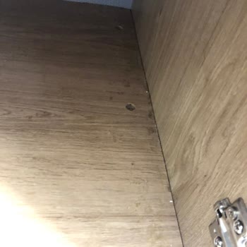 Divanev Den İlgi Ve Alakasızlığı