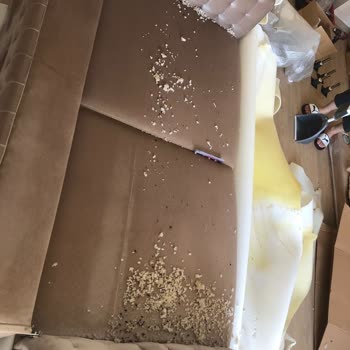 Divanev Den İlgi Ve Alakasızlığı