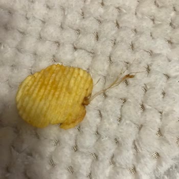 Ruffles Fritolay Firması Ruffle's Peynirli Soğanlı Cips Hakkında
