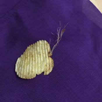 Ruffles Fritolay Firması Ruffle's Peynirli Soğanlı Cips Hakkında