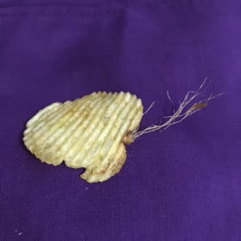 Ruffles Fritolay Firması Ruffle's Peynirli Soğanlı Cips Hakkında