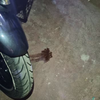 Kuralkan Bajaj Dominar 250