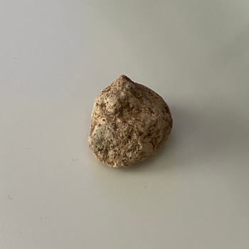 Çerezya Kuruyemiş İçerisinden Çıkan Taş