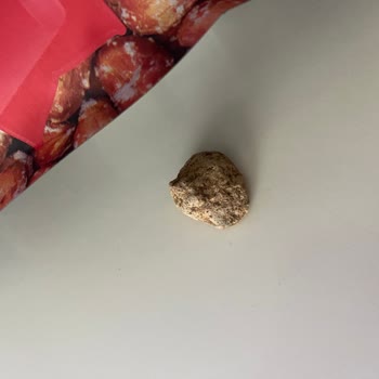 Çerezya Kuruyemiş İçerisinden Çıkan Taş