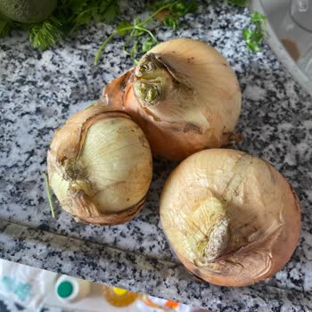 Cepte Şok Çürük Ürün