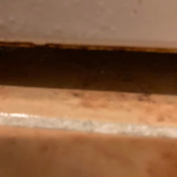 Siemens Beyaz Eşya Markası Mı? Yoksa Paslanabilir Çöp Tenekesi Mi?