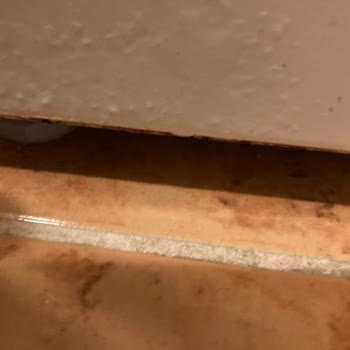 Siemens Beyaz Eşya Markası Mı? Yoksa Paslanabilir Çöp Tenekesi Mi?