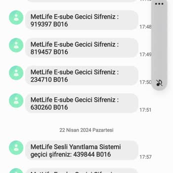Metlife Emeklilik ve Hayat Ulaşılamaz Bir Firma Neden Diye Soracağımız Kimse Yok