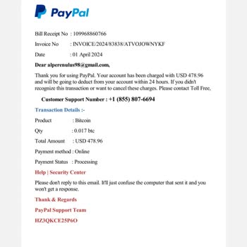 Mysterious PayPal Invoice on Nonexistent Account