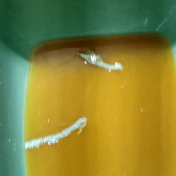 Tropicana Kotu Bir Koku Ve Küf Çıktı