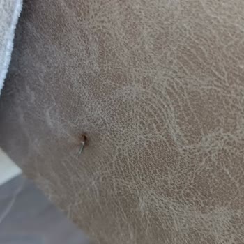 Bellona Koltuk Takımı Minder Yırtılması