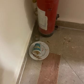 Lady Travel Hayal Kırıklığı Yaratan 5 Günlük Tur Deneyimi