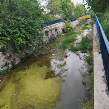 İzmir Büyükşehir Belediyesi Dere Temizliği Konusunda