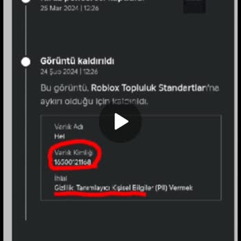 TikTok Bir Kişi Tarafından Hesap Bilgilerim Elinde Olması