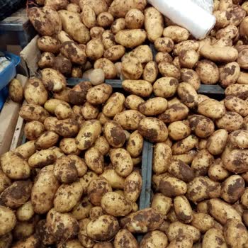 Çamur Yemek İster Misiniz? Carrefour'a Buyurun!