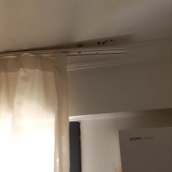 Kültür ve Turizm Bakanlığı Bodrum Smart City Suites Hotel Asla Gidilmemesi Gereken Bir Yer!