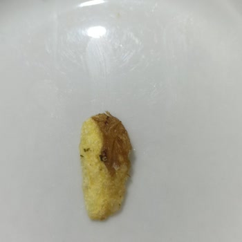 Samba Pos Samba Mevsim Yeşillikleri Patates Cipsi