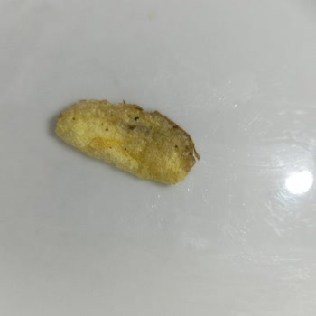 Samba Pos Samba Mevsim Yeşillikleri Patates Cipsi