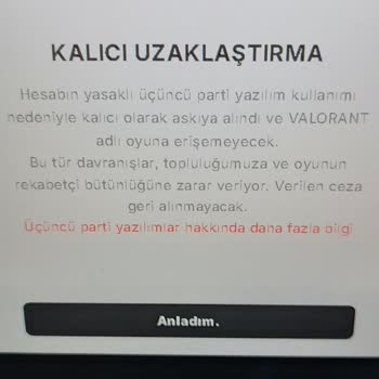 Valorant Gereksiz Yere Ban