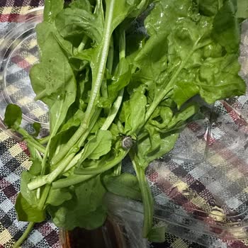 Yemeksepeti Yemek Siparişinde Beklenmedik Misafir!