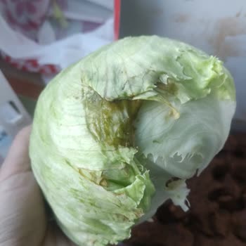 Komagene Müşteri Memnuniyeti Anlayışı