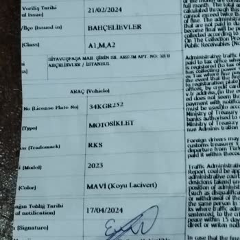 Martı Tag Cezalarımı Ödemeyi Reddediyor