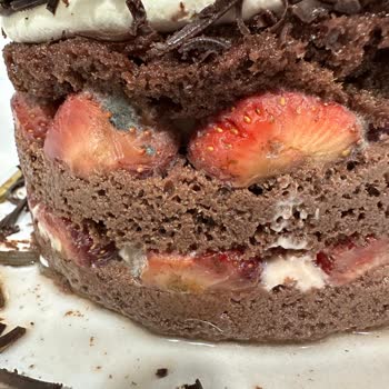 Faruk Güllüoğlu Ispartakule Küflü Yaş Pasta!