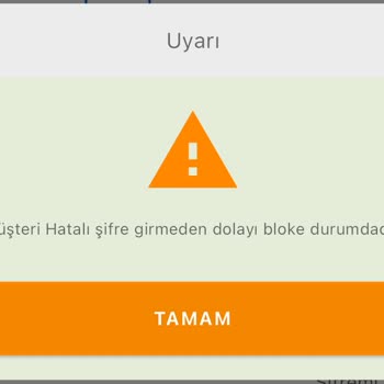 İnfo Yatırım Menkul Değerler Hesap Erişim Engeli Ve Bloke Sorunu