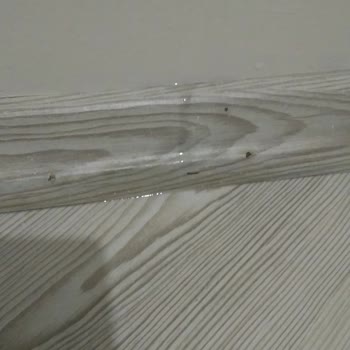 Samsung Telefon M21 Sensör Çalışmıyor