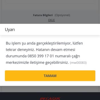Pegasus 23 Nisan Çocuk Bayrami Bedava Bilet Kampanyası Mağduriyeti
