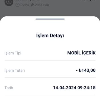 Vizyon Elektronik Para Bilgim Dışında Alınan Ödeme Firma Telefonları Düşmüyor