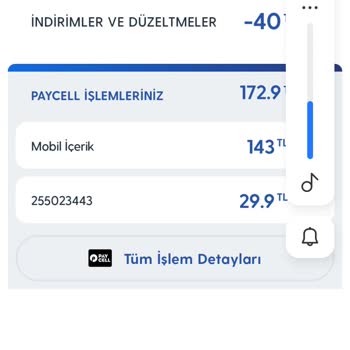 Vizyon Elektronik Para Bilgim Dışında Alınan Ödeme Firma Telefonları Düşmüyor