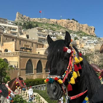 Gaziantep Gezi Tur Sepeti Şikayetçiyim