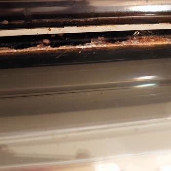 Bosch Markası Mağduriyeti. Tam Bir Hayal Kırıklığı.