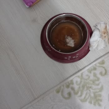Osmaniye Bizimpet Veteriner Kliniği Çok Kötü
