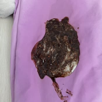 Osmaniye Bizimpet Veteriner Kliniği Çok Kötü