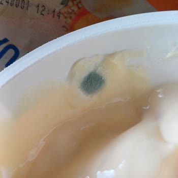Sek Quark (Kayısı Kinoa)