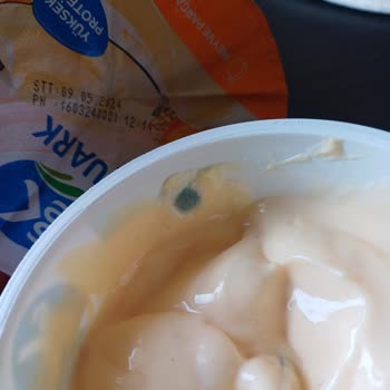 Sek Quark (Kayısı Kinoa)