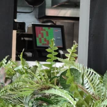 Burfaş Mudanya Servis Veremiyor