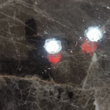 Bianca Boya S***** B***** Kalitesiz Ve İlgisiz Hizmet