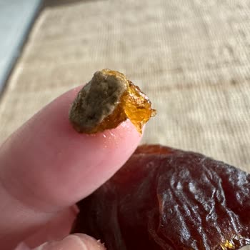 Migros Marka Gün Kurusu İçinden Kocaman Tas Çıktı