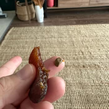 Migros Marka Gün Kurusu İçinden Kocaman Tas Çıktı